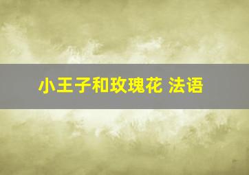 小王子和玫瑰花 法语